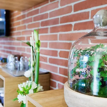 ホテル Ibis Styles Toulouse ラヴォール