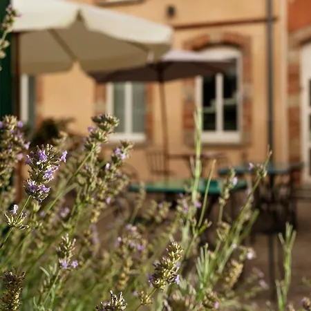 Ibis Styles Toulouse לאבור