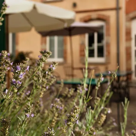 Ibis Styles Toulouse Hotel