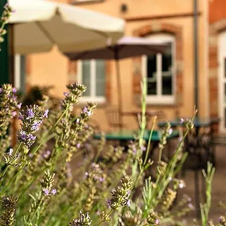 Ibis Styles Toulouse Hotel Lavaur (Tarn)