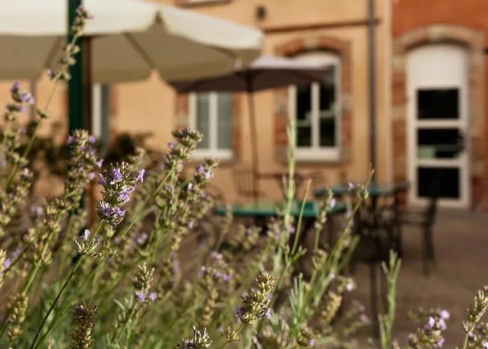 Ibis Styles Toulouse Lavaur (Tarn)